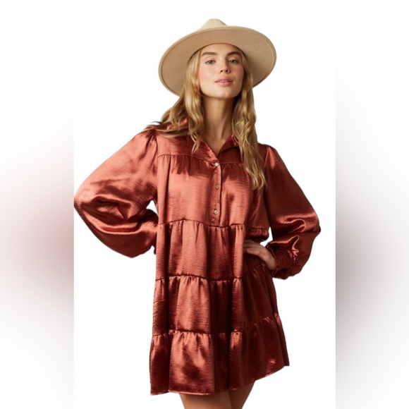 Winter Fall Country Gorgeous Dress w/ Pockets in Bronze NWT - Picture 9 of 12